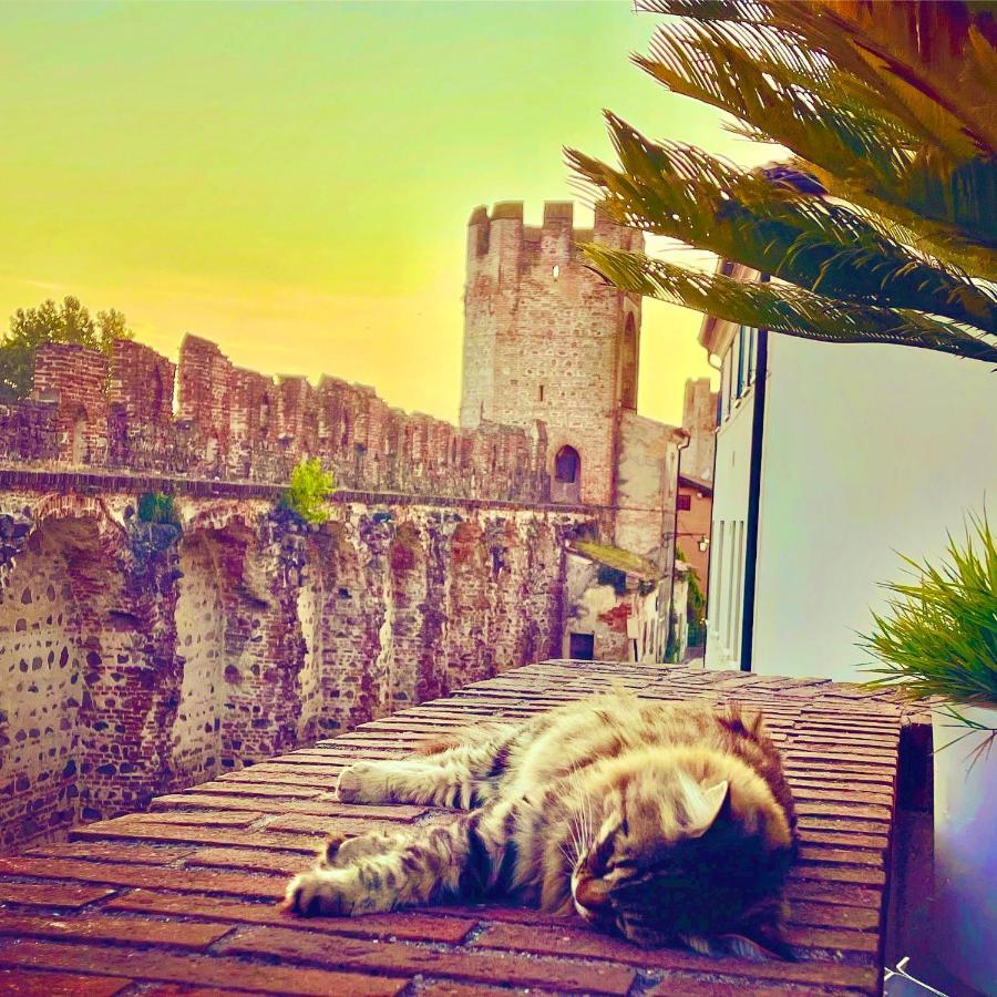 Ca' Del Sole - Attico Panoramico In Centro Storico Apartment Монтаняна Екстериор снимка