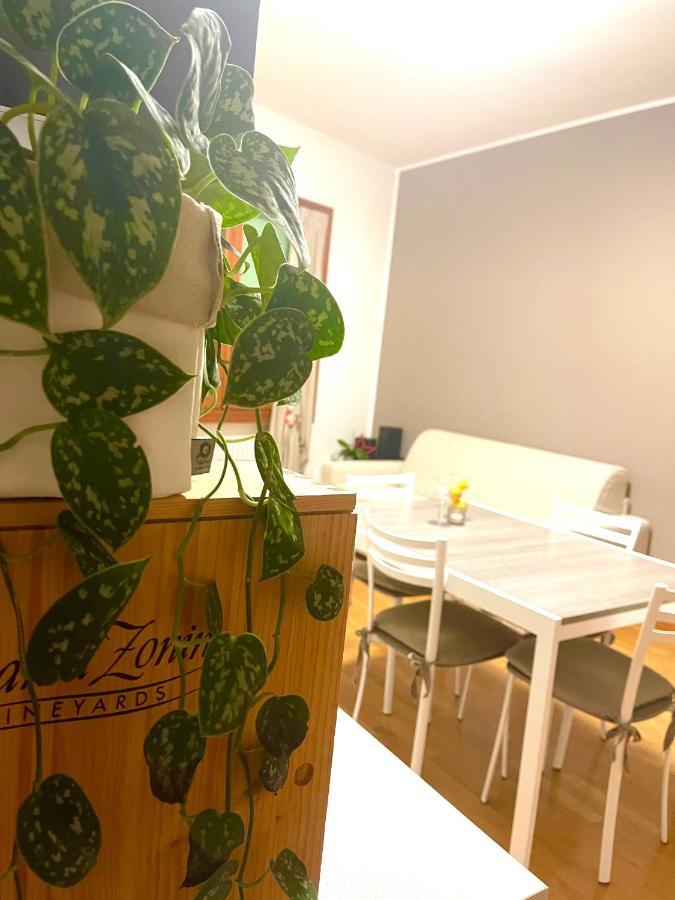 Ca' Del Sole - Attico Panoramico In Centro Storico Apartment Монтаняна Екстериор снимка